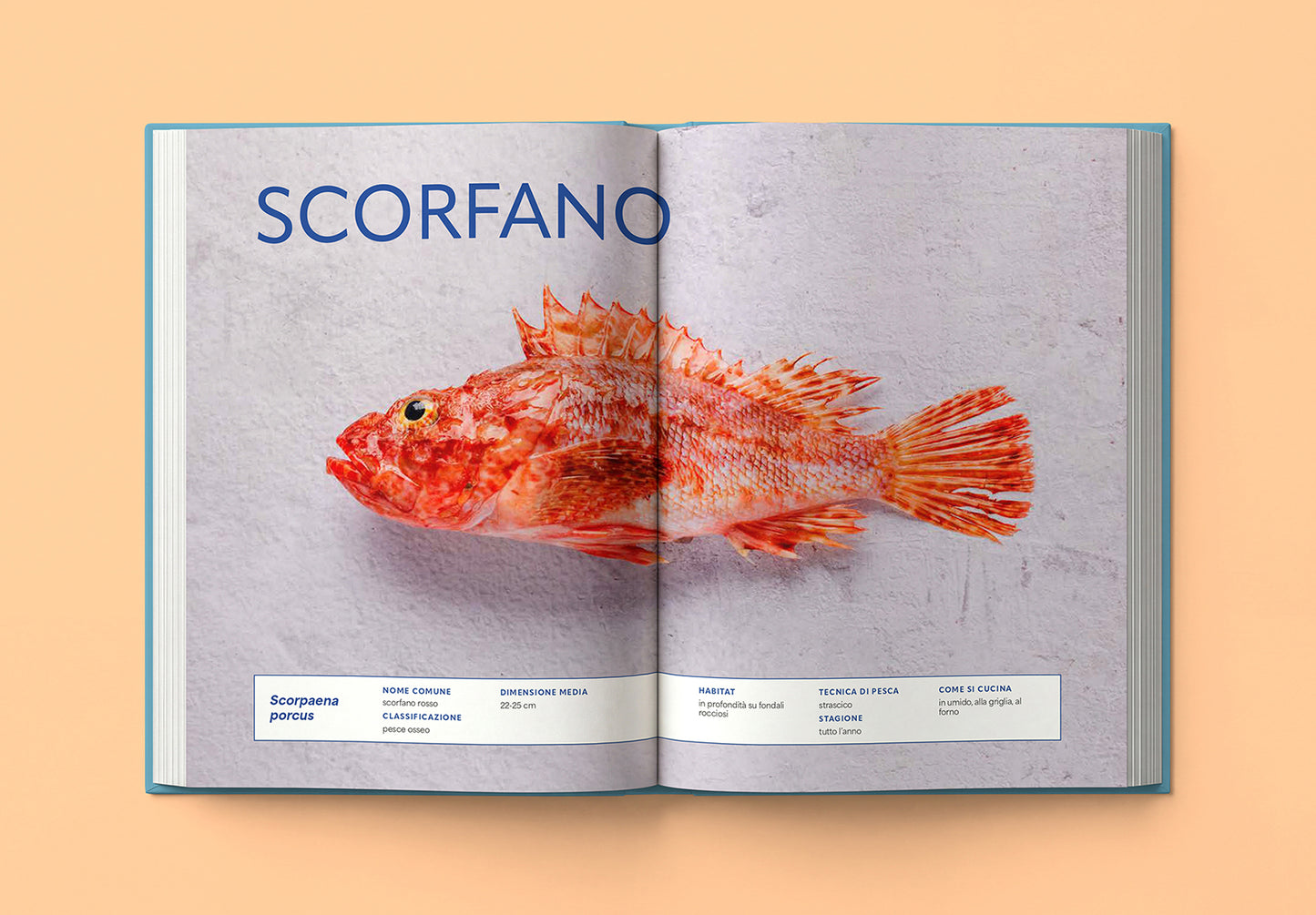 FRESCO::Conoscere, scegliere e cucinare il pesce
