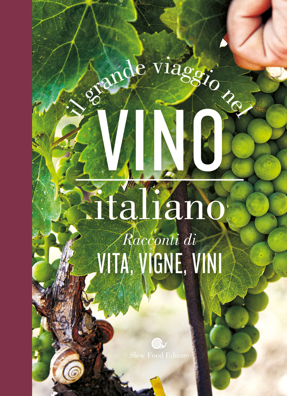 Il grande viaggio nel vino italiano::Racconti di vita, vigne, vini