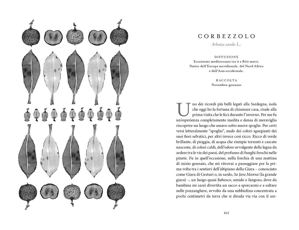 Botanica nascosta. Storia, curiosità, superpoteri delle piante dimenticate::Storia, curiosità, superpoteri delle piante dimenticate