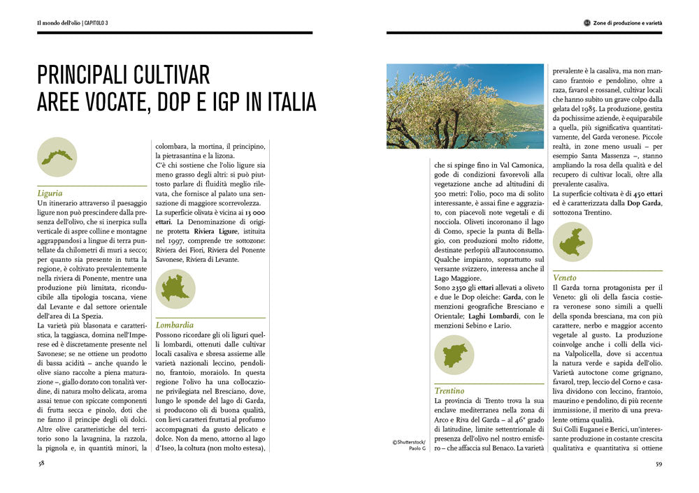Il mondo dell'olio. Storia, produzione, uso in cucina dell'extravergine::Storia, produzione, uso in cucina dell'extravergine
