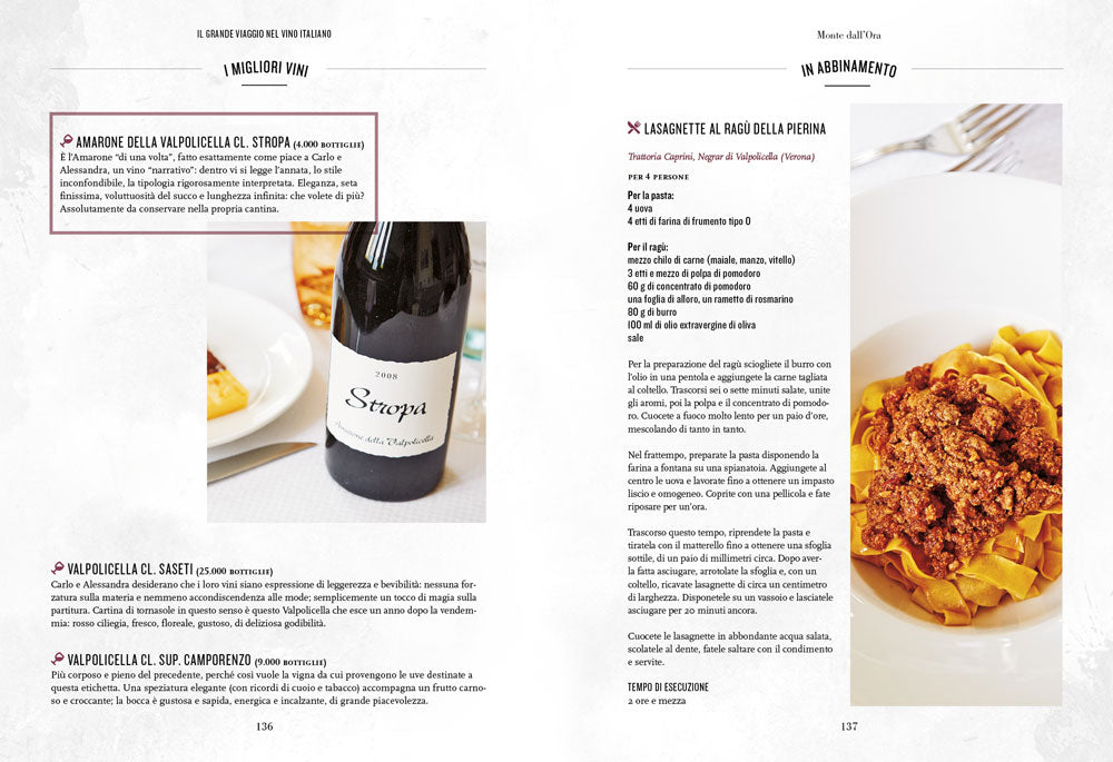 Il grande viaggio nel vino italiano::Racconti di vita, vigne, vini