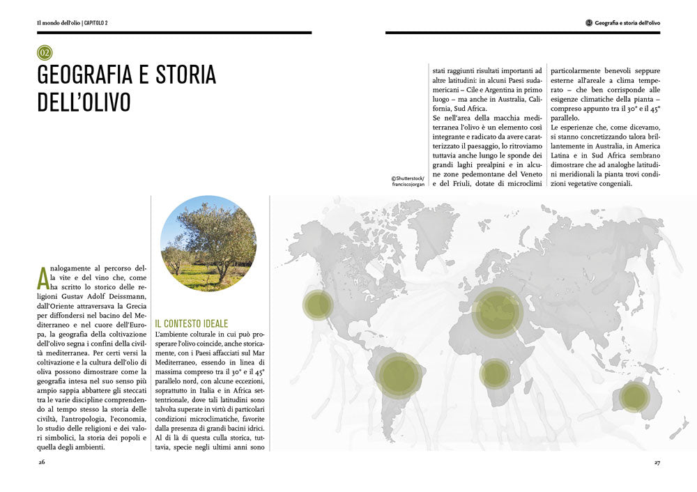 Il mondo dell'olio. Storia, produzione, uso in cucina dell'extravergine::Storia, produzione, uso in cucina dell'extravergine