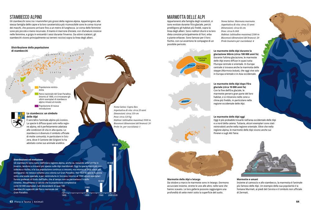 Il grande libro delle Alpi::Tutto sulle montagne più amate in oltre 100 infografiche e illlustrazioni