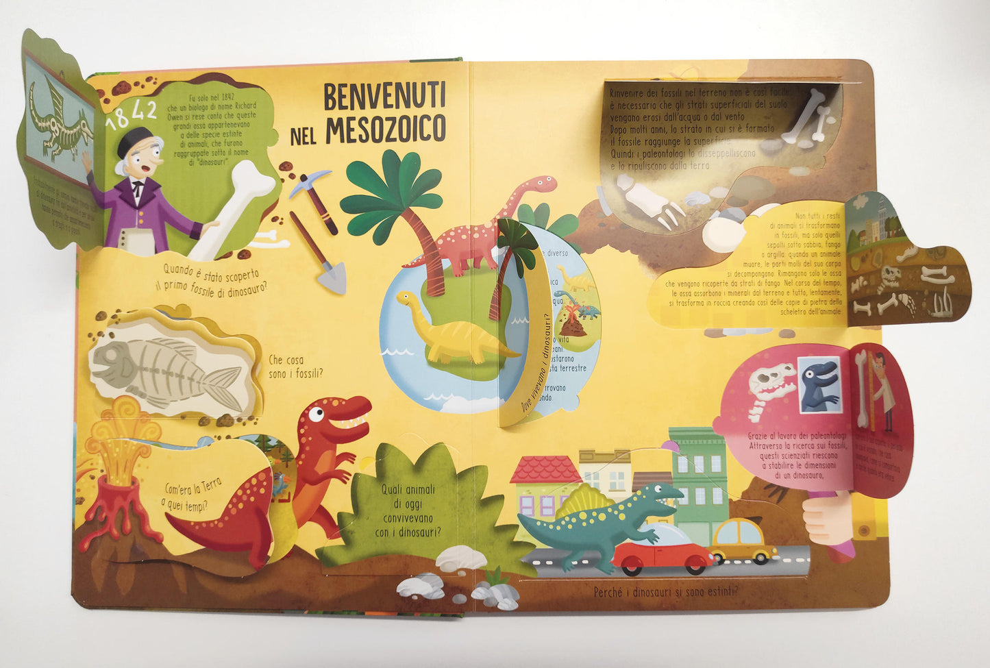 Dinosauri::Solleva le alette e trova le risposte!