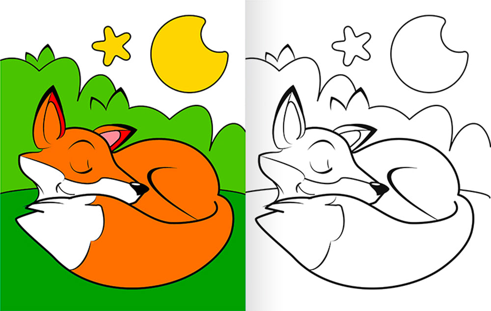 Colorare in 3D Bosco::Tante pagine da colorare - 5 soggetti da costruire