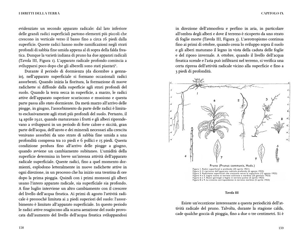 I diritti della terra::Alle radici dell'agricoltura naturale
