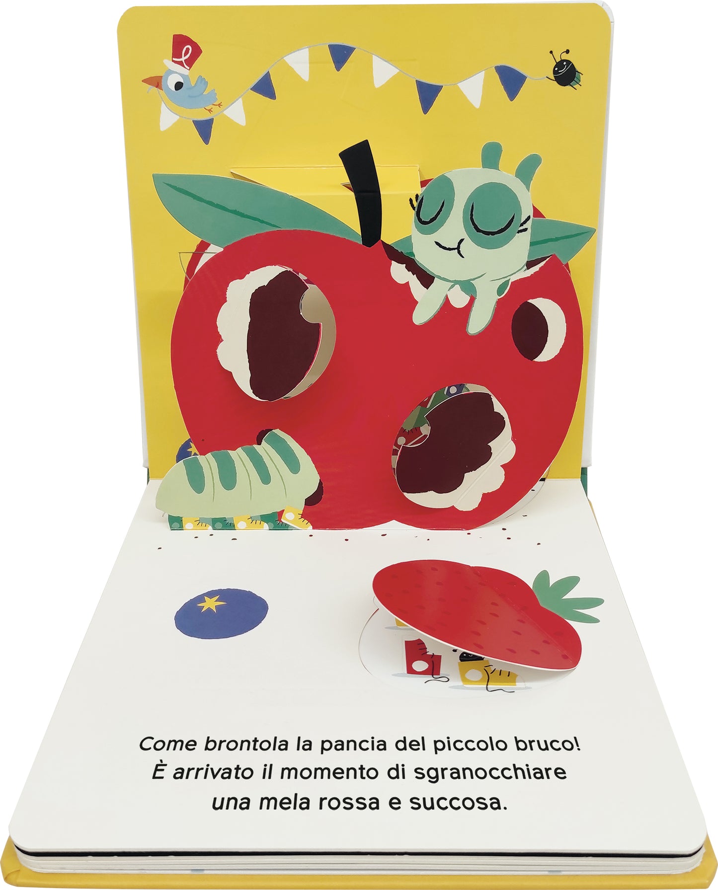 Animali del giardino::Un libro con pop-up e finestrelle