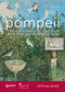 Pompeii::the excavations, the park and the surrounding area