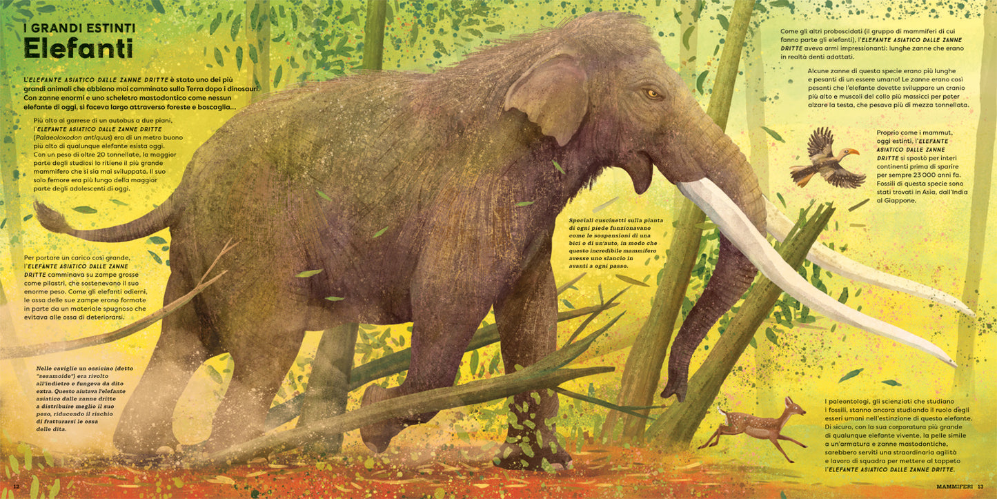 Mega::I più grandi animali di sempre!
