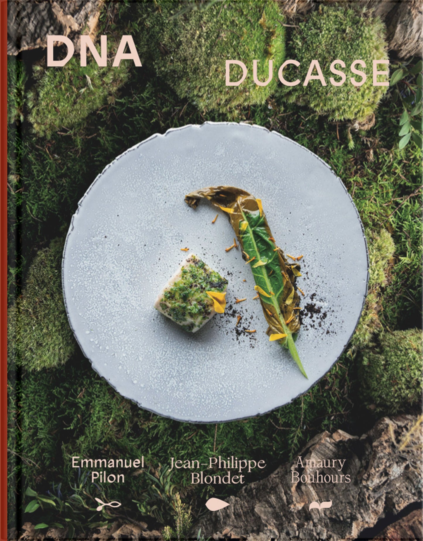 DNA DUCASSE