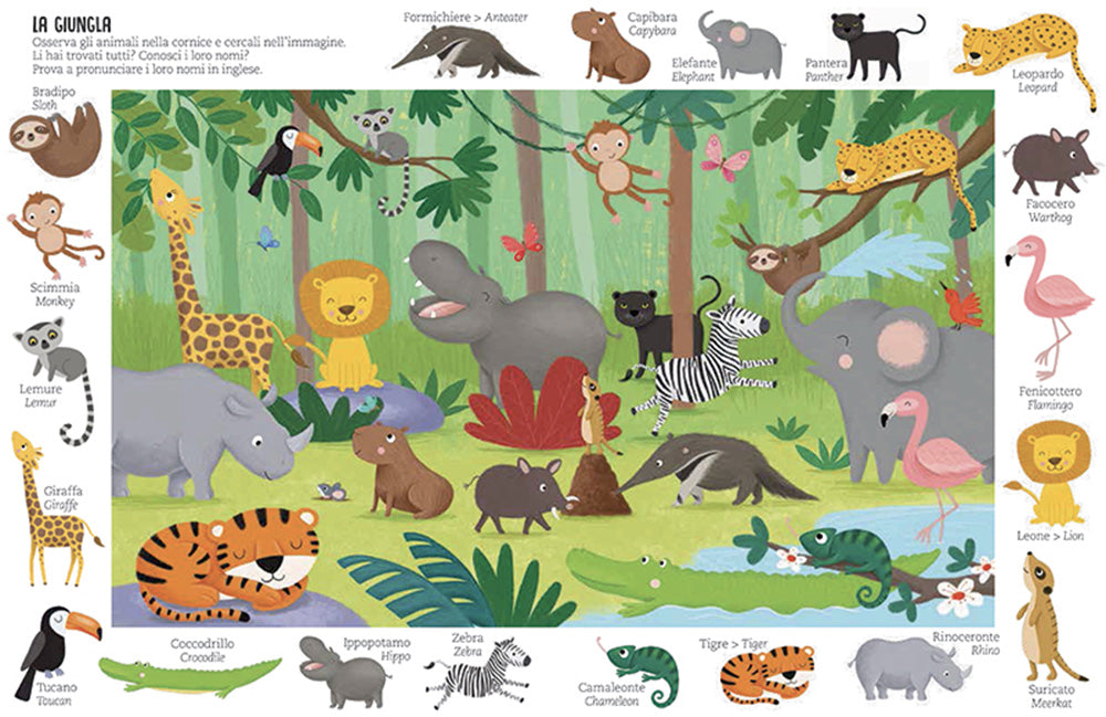 Animali::Cerca, Trova, Impara