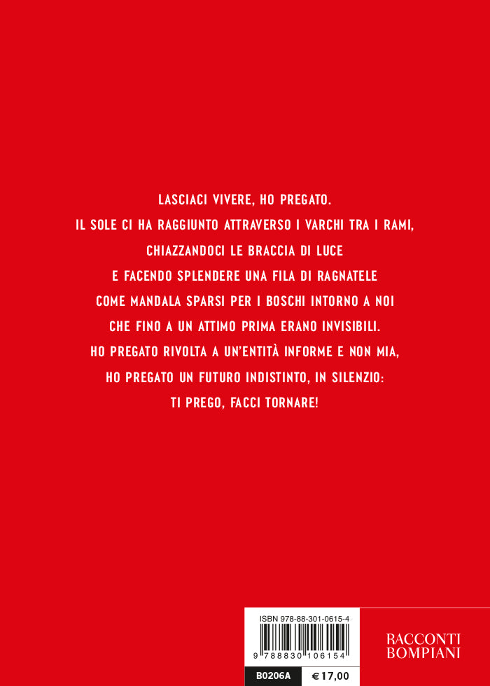 La mia Monticello::e altre storie