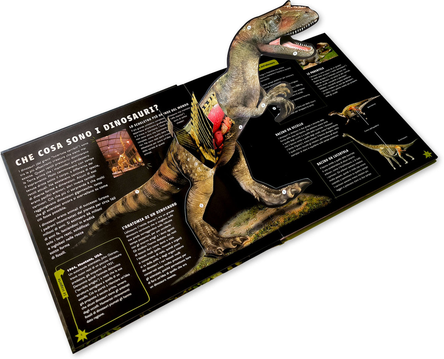 Viaggio nel mondo dei dinosauri::Guida interattiva sui terribili rettili preistorici