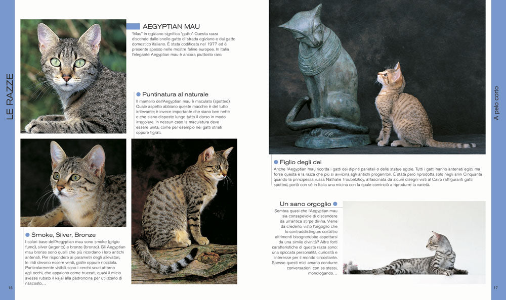 Il libro dei gatti