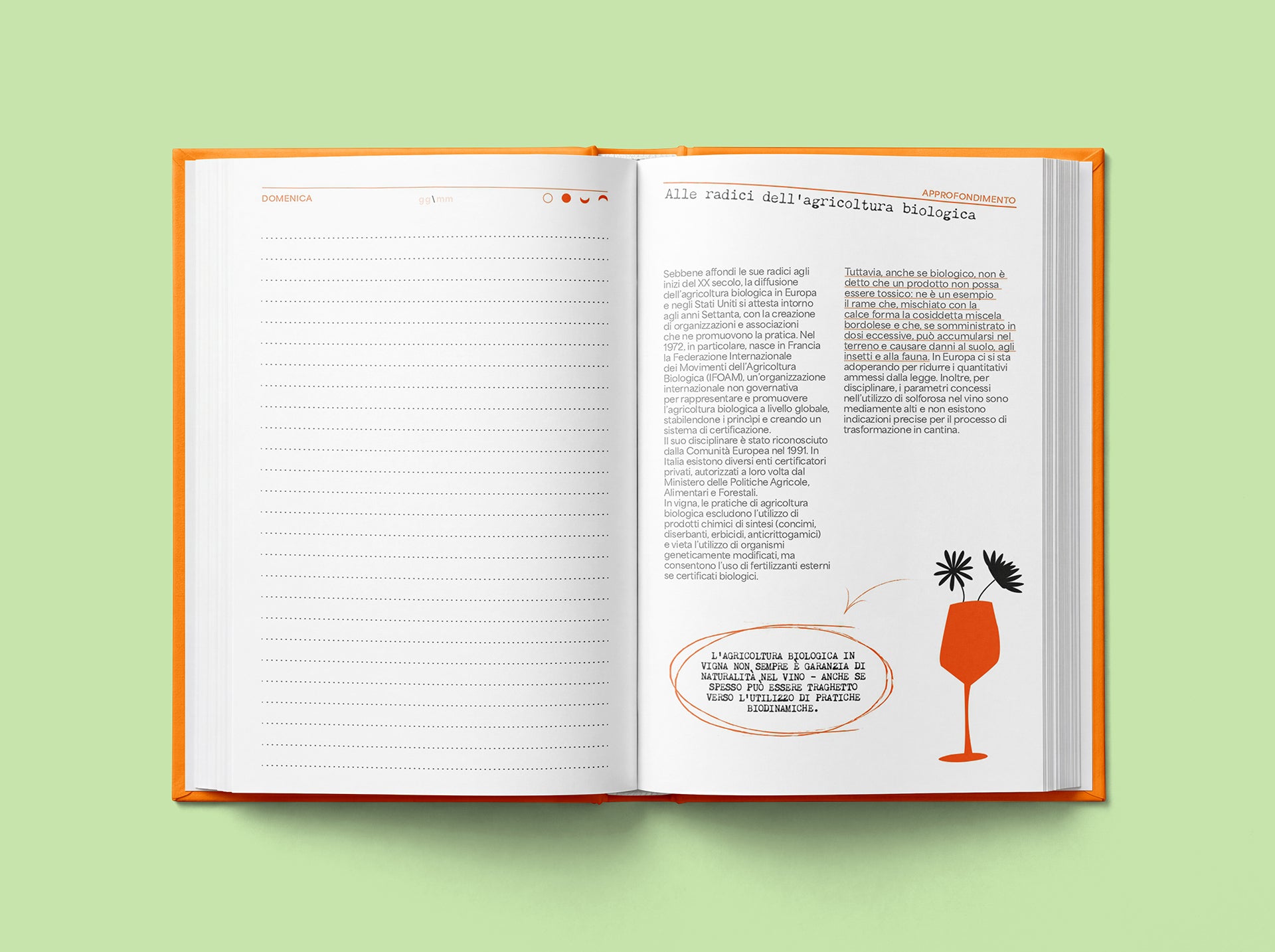 AGENDA DEL VINO NATURALE
