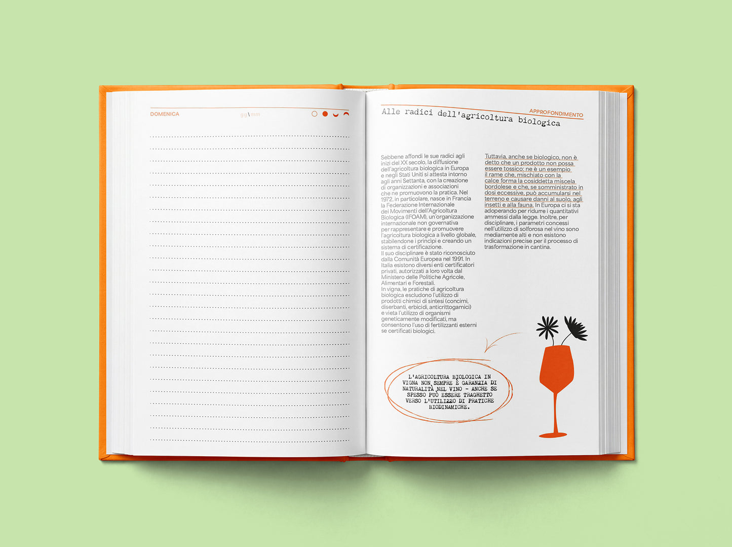 AGENDA DEL VINO NATURALE