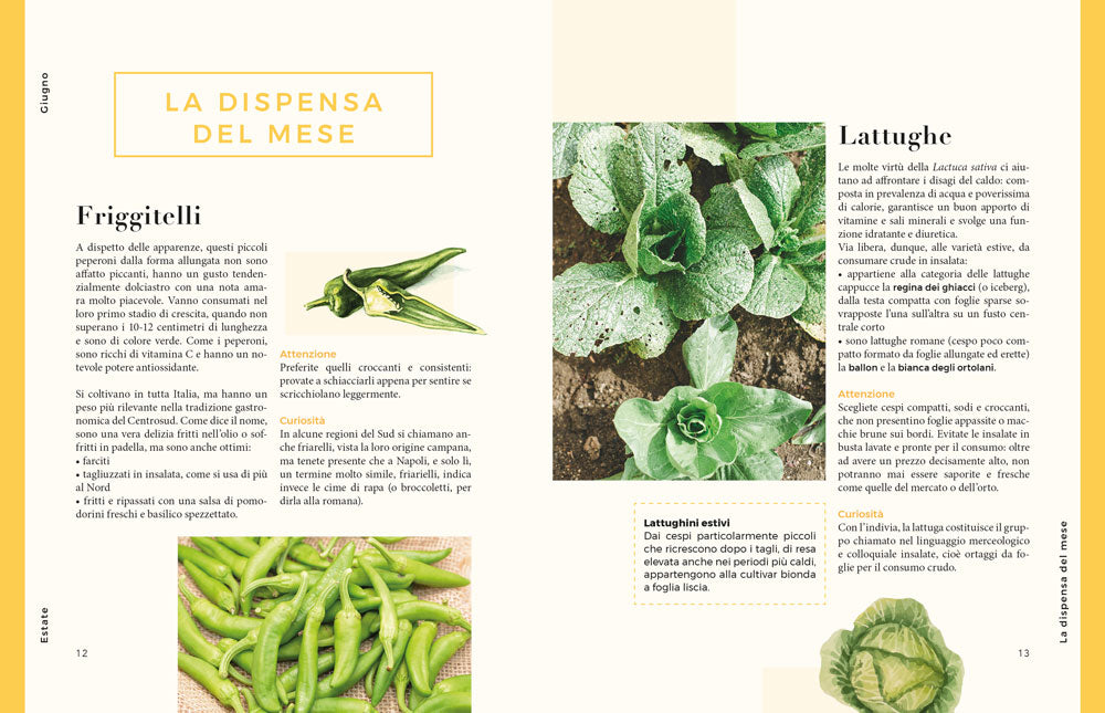 CUCINA D'ESTATE::110 RICETTE PER VIVERE AL MEGLIO LA BELLA STAGIONE