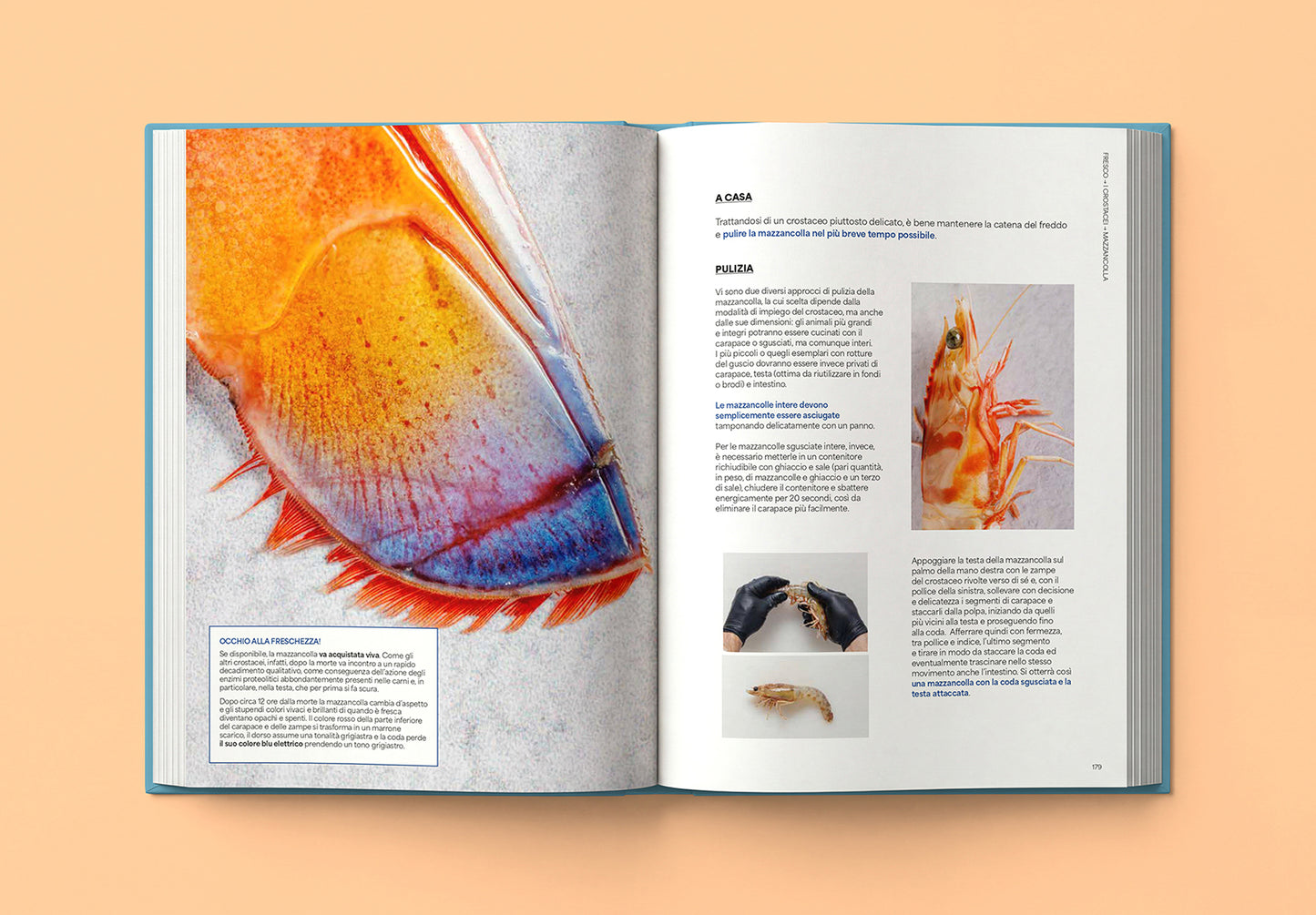 FRESCO::Conoscere, scegliere e cucinare il pesce