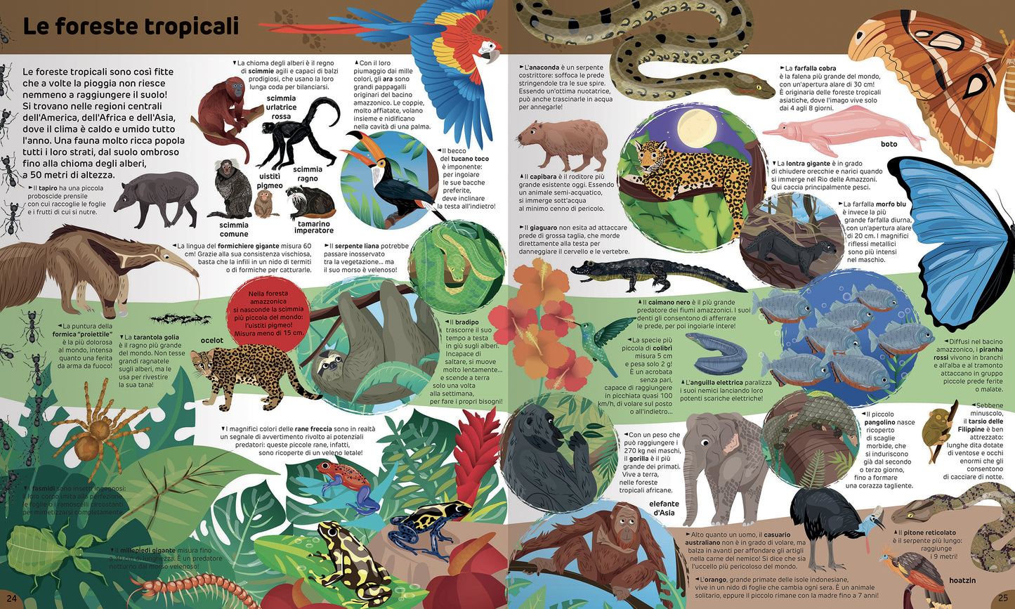 Il regno degli animali