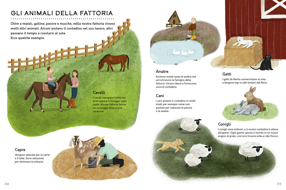 Un anno in fattoria::Le quattro stagioni nella vita di una fattoria biologica dal campo alla tavola.