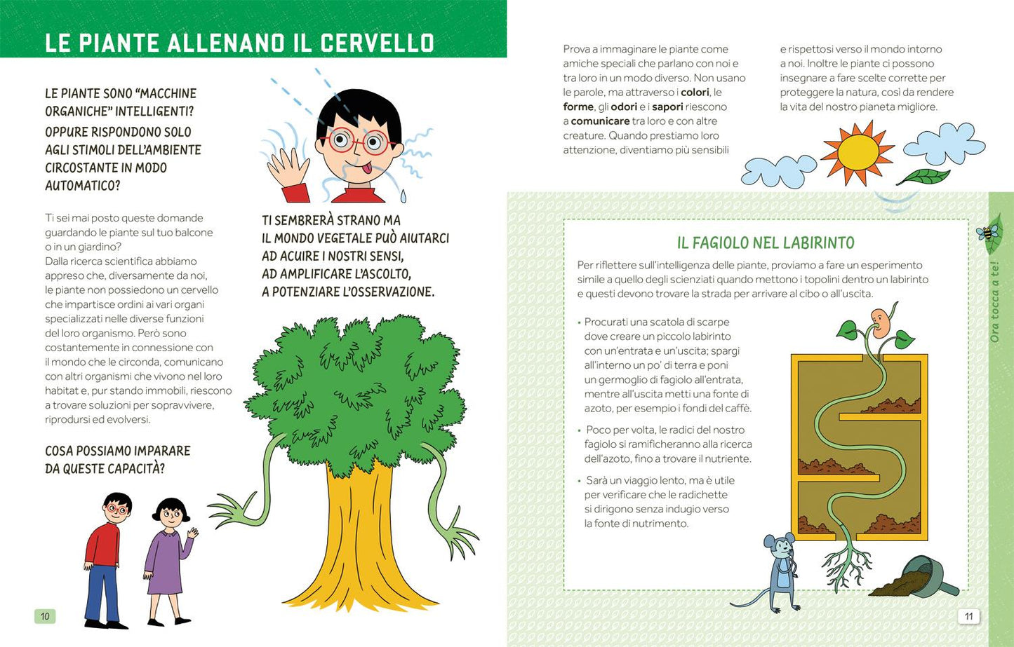 Allenamente natura::Giochi, attività e trucchi per allenare il cervello