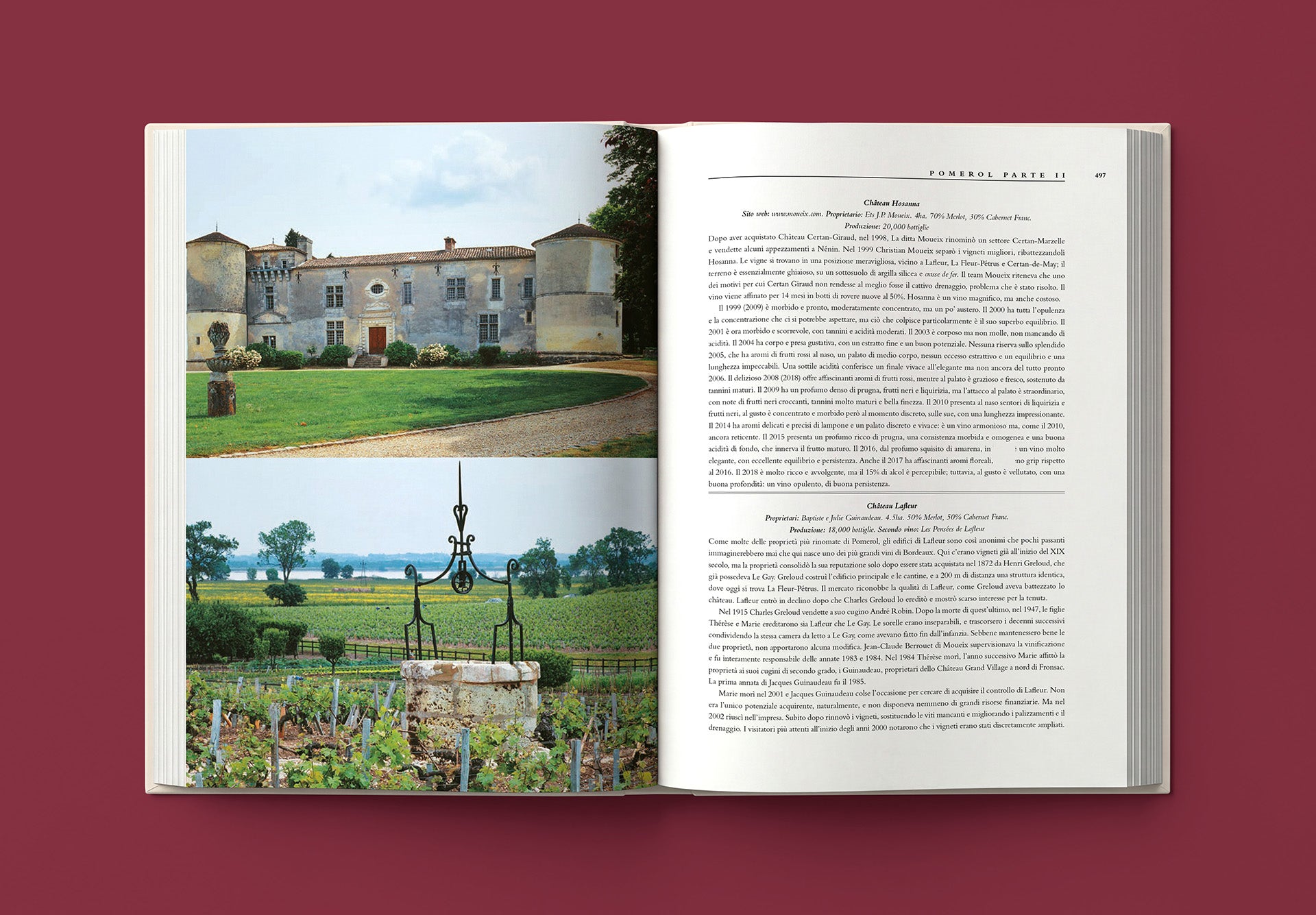 BORDEAUX::Il libro completo degli château, dei produttori e dei vini