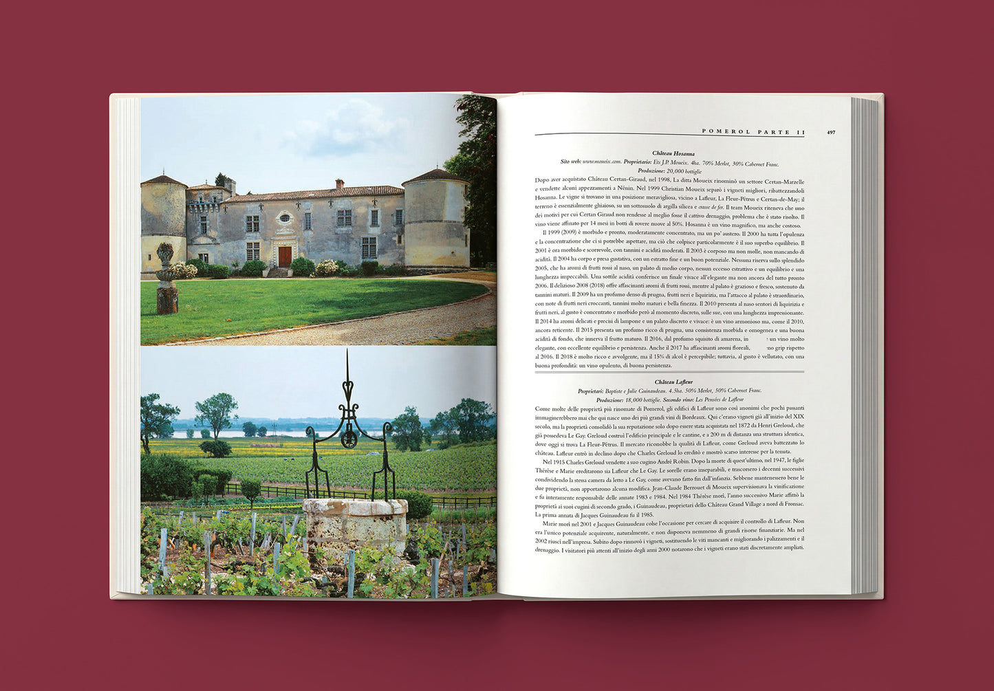 BORDEAUX::Il libro completo degli château, dei produttori e dei vini