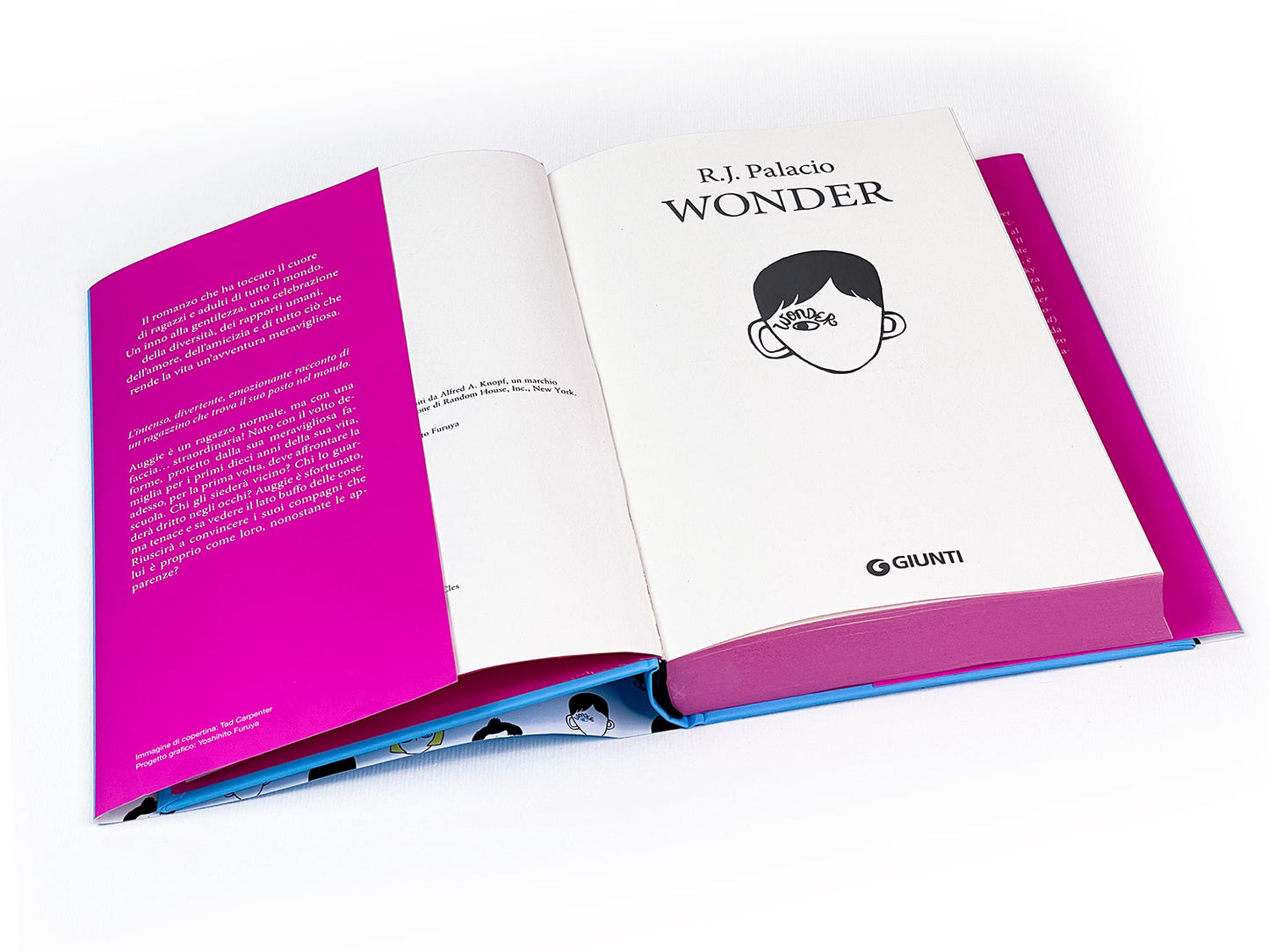 Wonder::Edizione speciale 10 anni!
