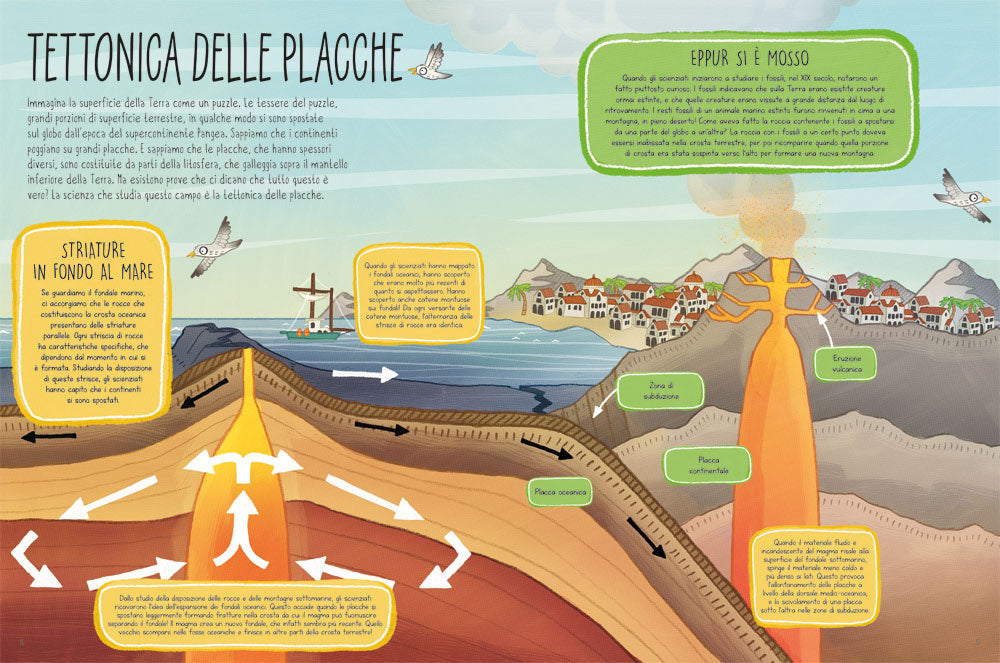 Il libro della Terra::La straordinaria storia del nostro pianeta
