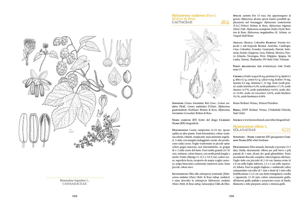 La Botanica della Birra::Caratteristiche e proprietà di oltre 500 specie vegetali usate nel brassaggio