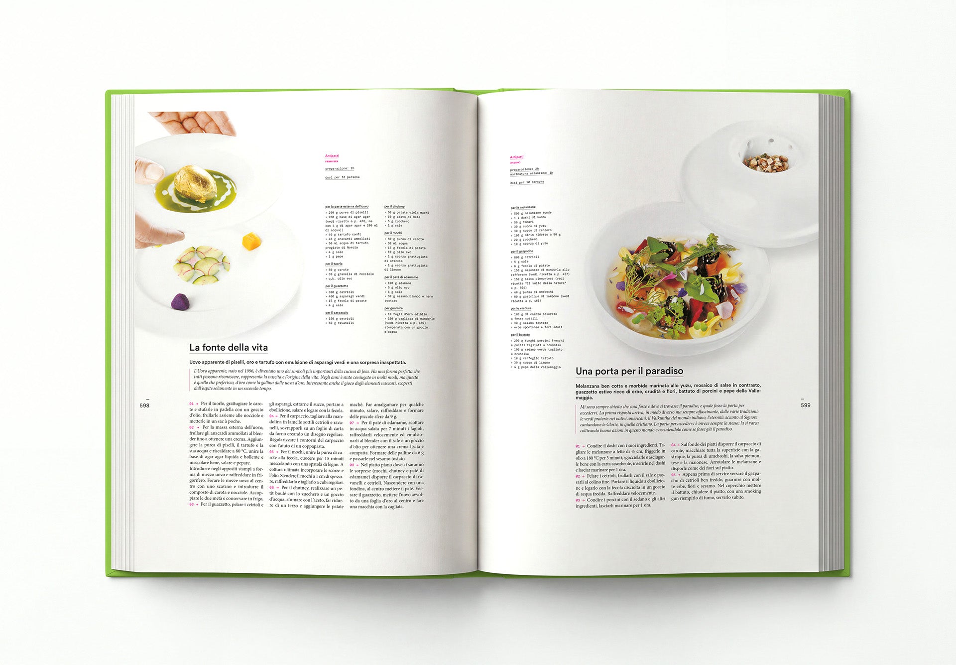IL CODICE DELLA CUCINA VEGETARIANA