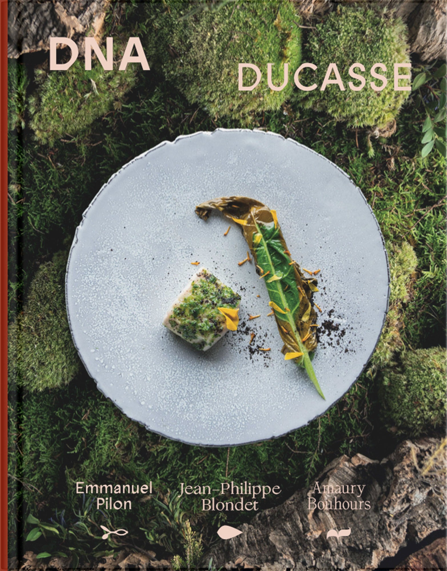 DNA DUCASSE