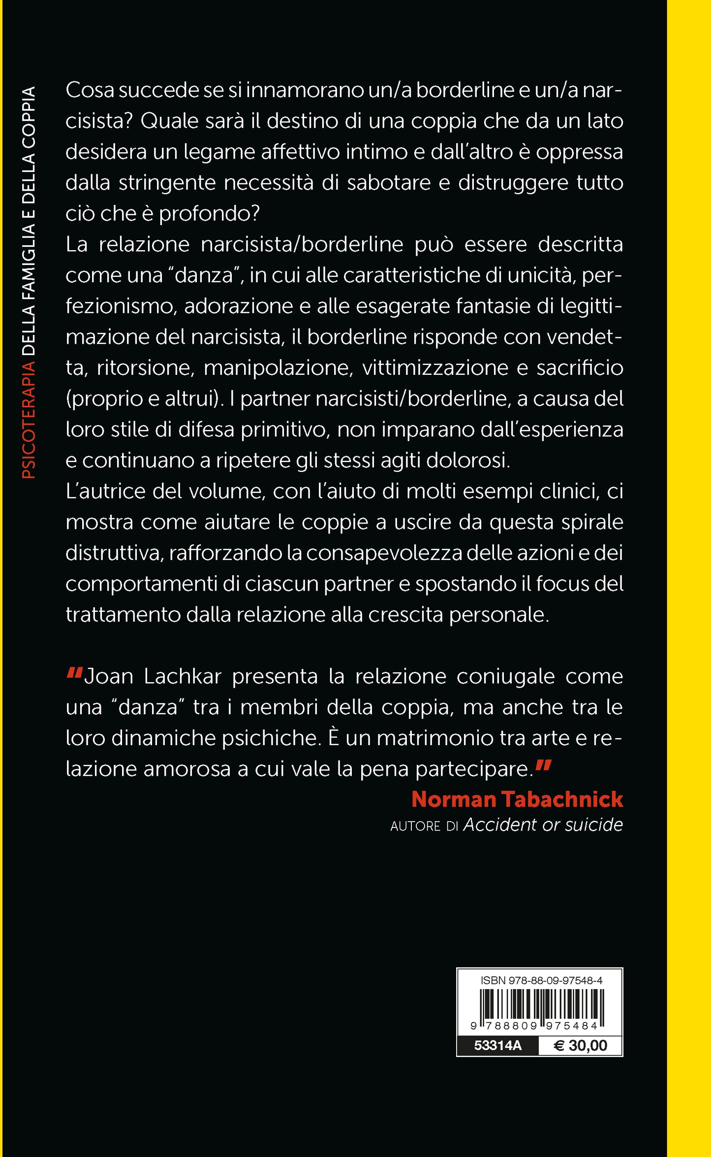 La coppia narcisistica borderline::Nuovi approcci alla terapia familiare