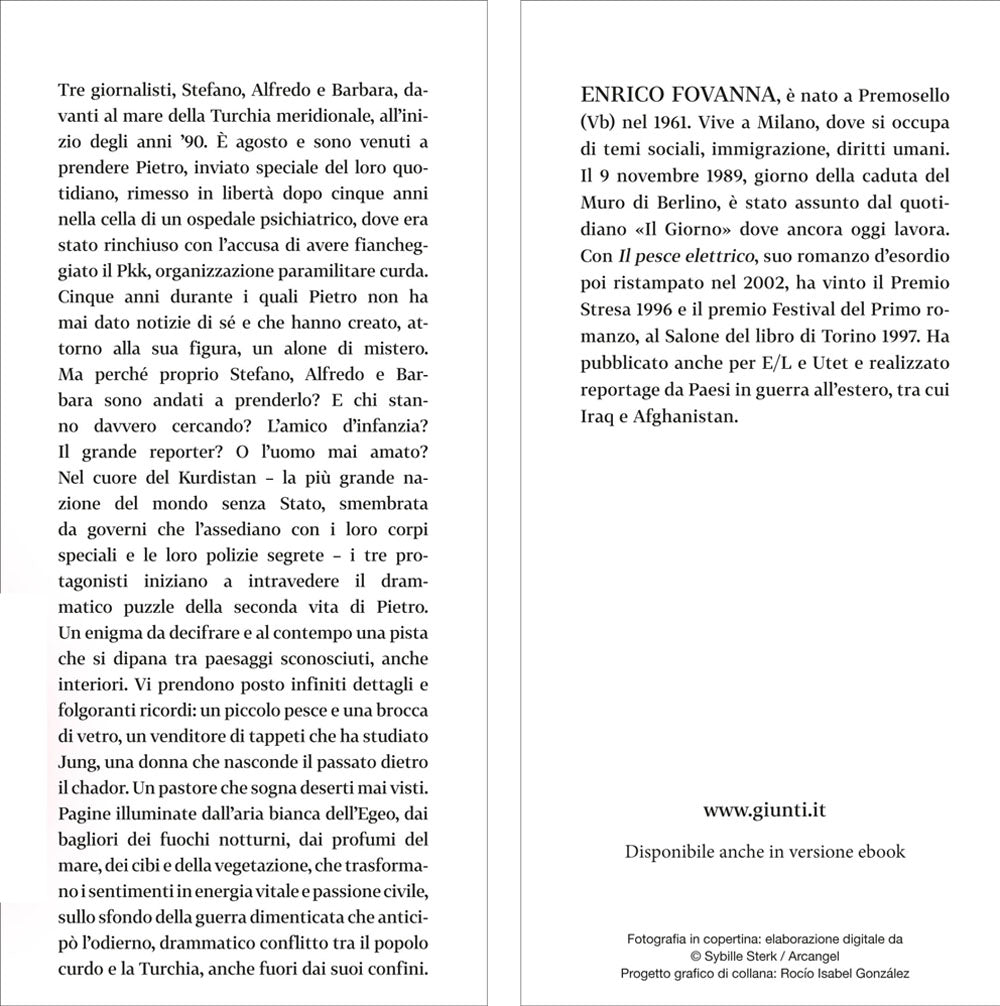 Il pesce elettrico::Un thriller sentimentale e l’enigma della guerra ai curdi in un romanzo che fa tornare la gioia di leggere.