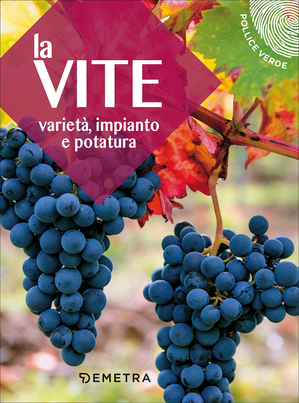 La vite::Varietà, impianto e potatura