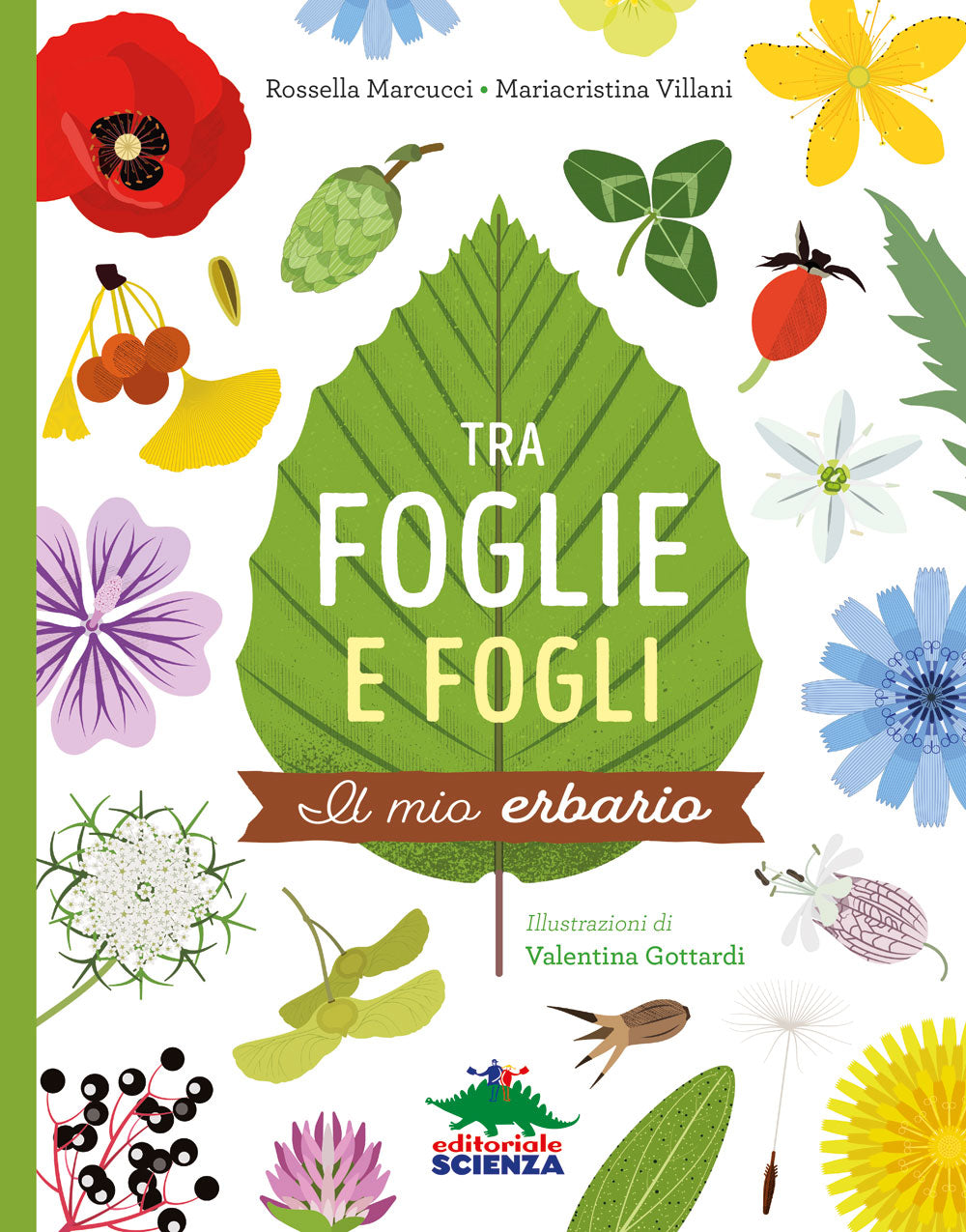 Tra foglie e fogli::Il mio erbario