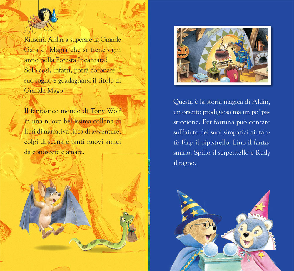 Aldin magico orsetto::Storie di Tony Wolf