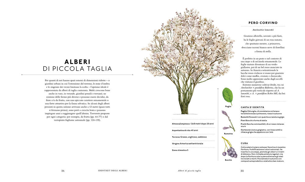 Un mondo di alberi::Sceglierli, piantarli, curarli e...cambiare il mondo