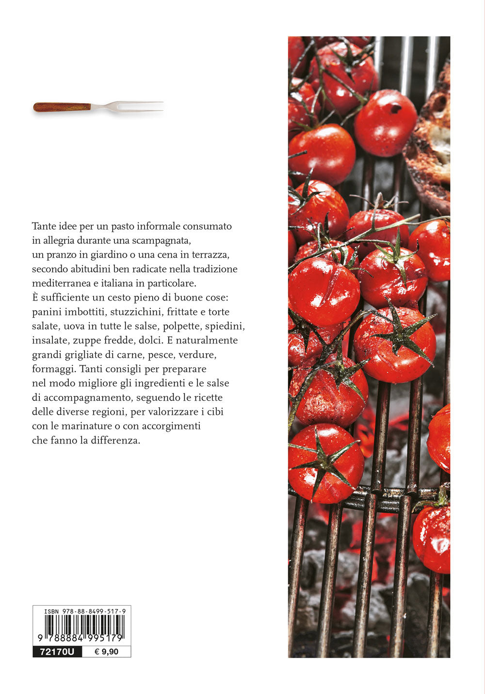 Grigliate e picnic::130 ricette per mangiare all'aperto