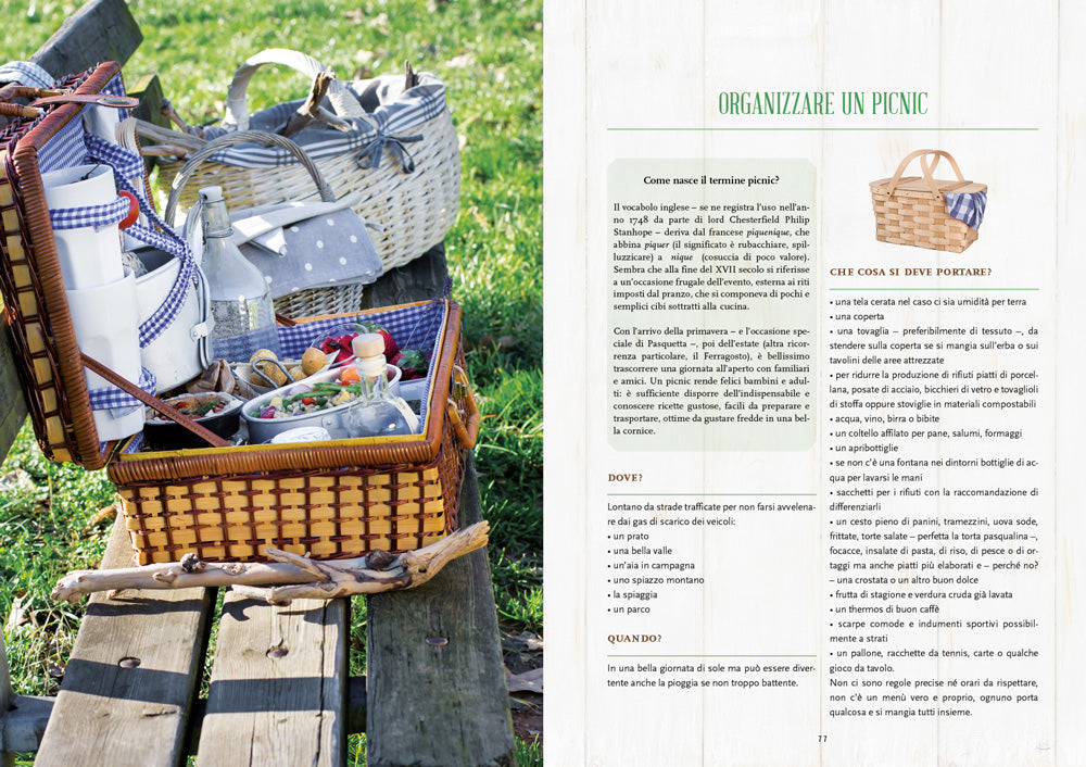Grigliate e picnic::130 ricette per mangiare all'aperto