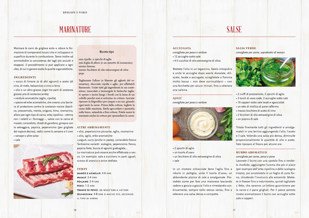Grigliate e picnic::130 ricette per mangiare all'aperto