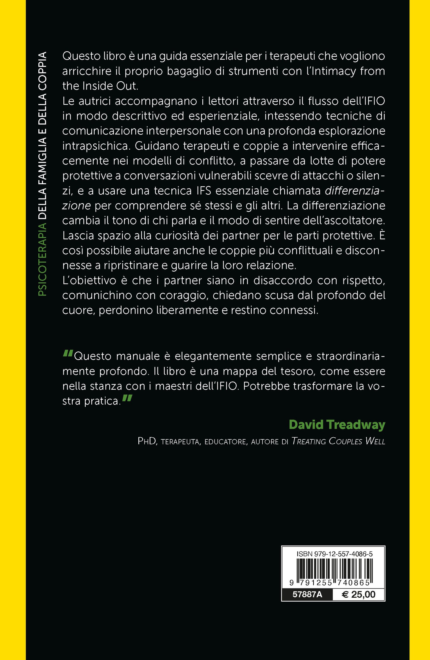 Terapia di coppia e sistemi familiari interni::Guarire le relazioni con il metodo dell’intimità dall’interno verso l’esterno. Manuale delle competenze