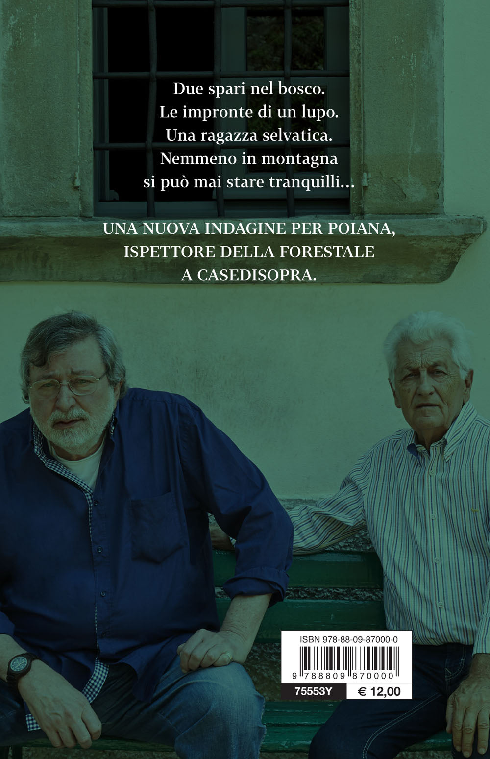 Tempo da elfi::Romanzo di boschi, lupi e altri misteri
