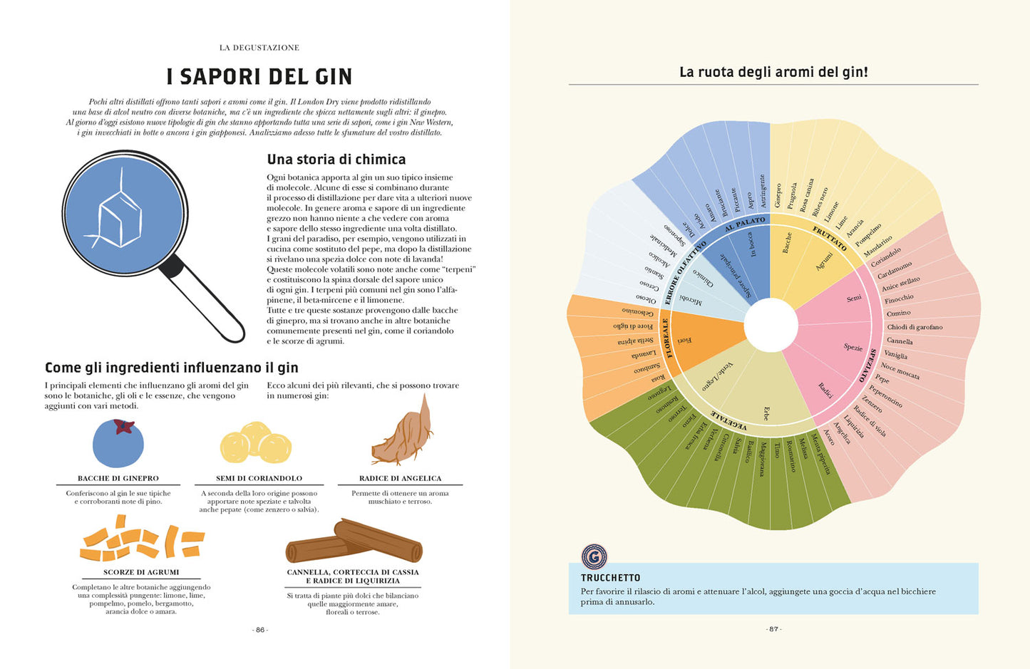 Gin. Manuale per aspiranti intenditori::Guida illustrata per appassionati