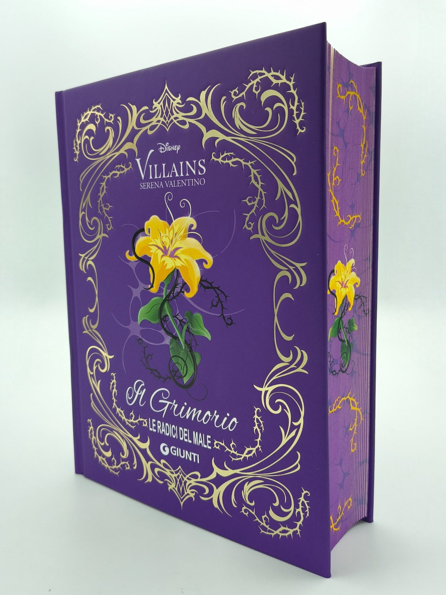 Grimorio Le Radici del male Disney Villains
