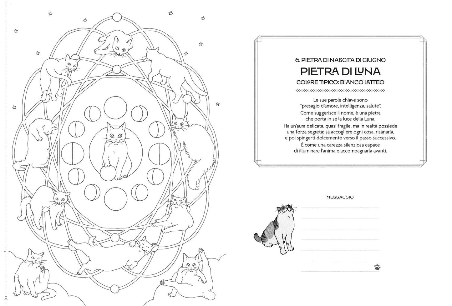 Mandala dei Gatti::Coloring Book per Cat Lovers