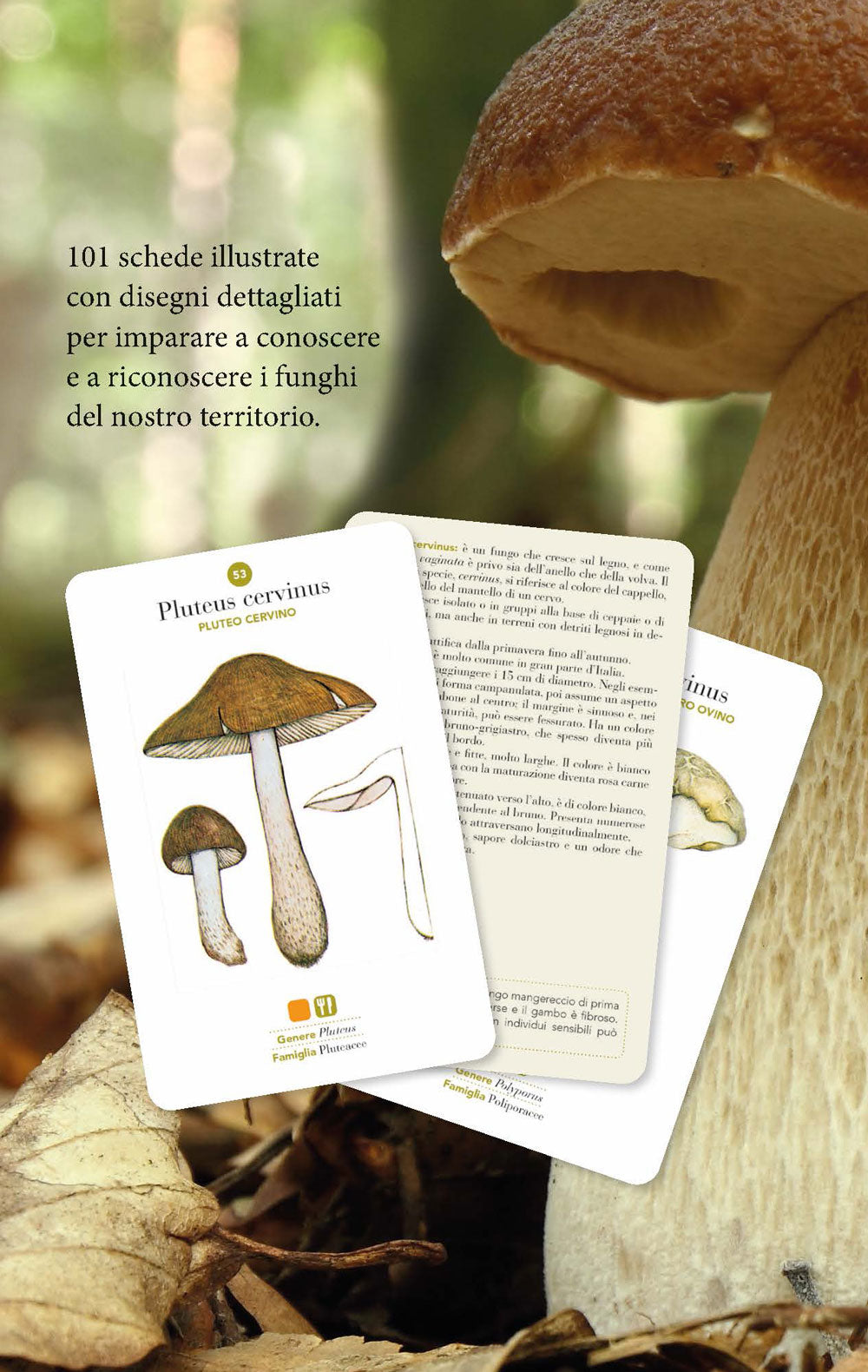 Funghi::101 schede per conoscere, riconoscere e trovare i funghi
