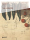 The Codices::Leonardo da Vinci. Artist/Scientist