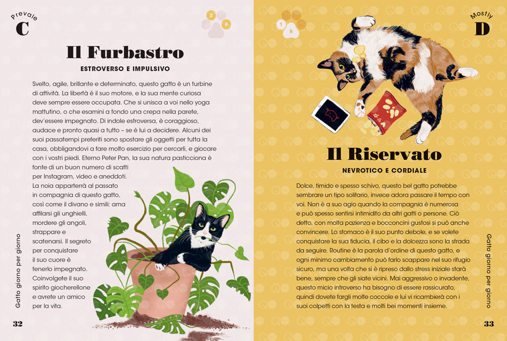 Conosci il tuo gatto?::9 test per scoprire cosa pensa davvero