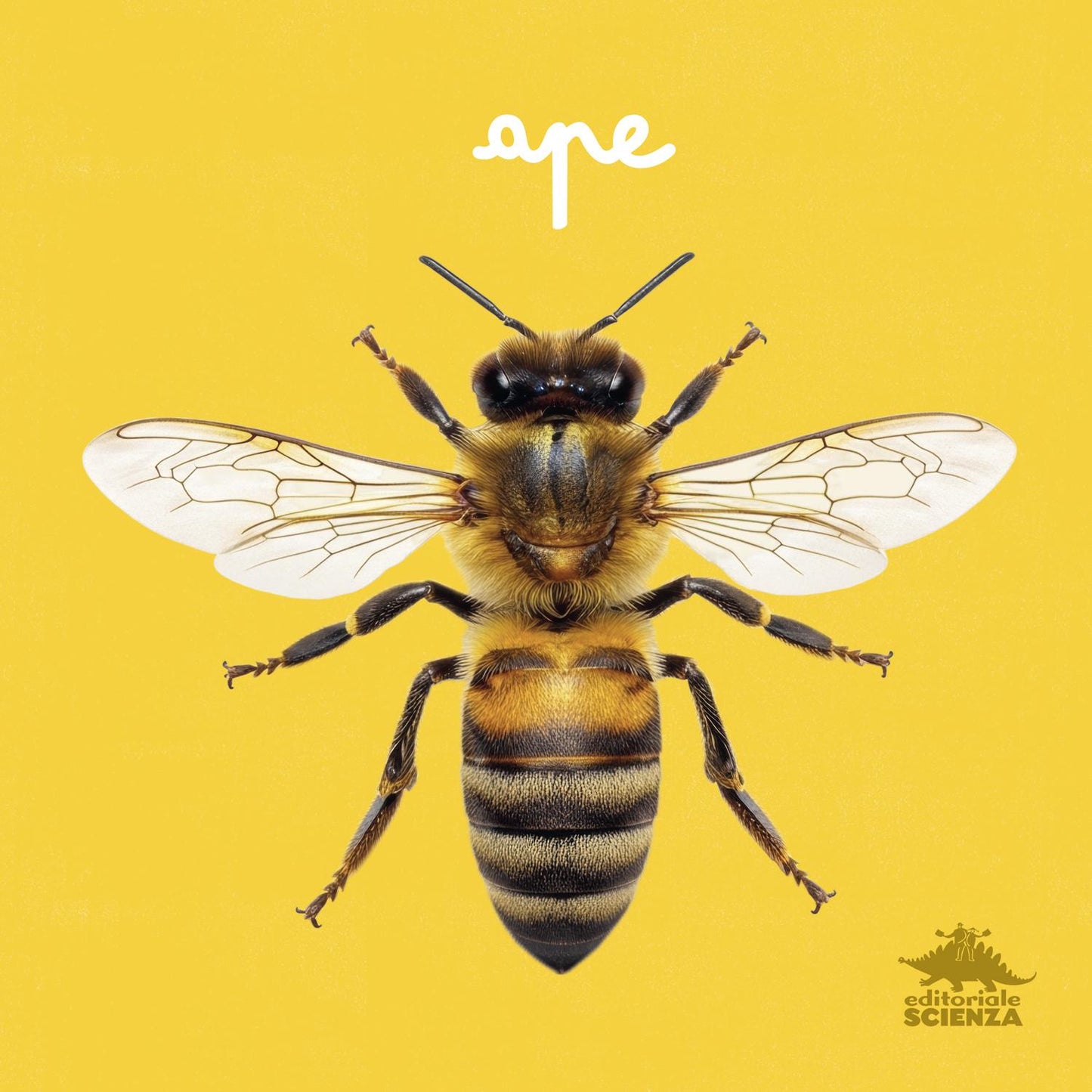 Ape::primi libri fotografici per osservare la natura da vicino!